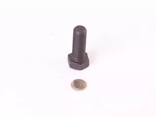 RK mower slide plate screw RK M20x1,5x55 (1)